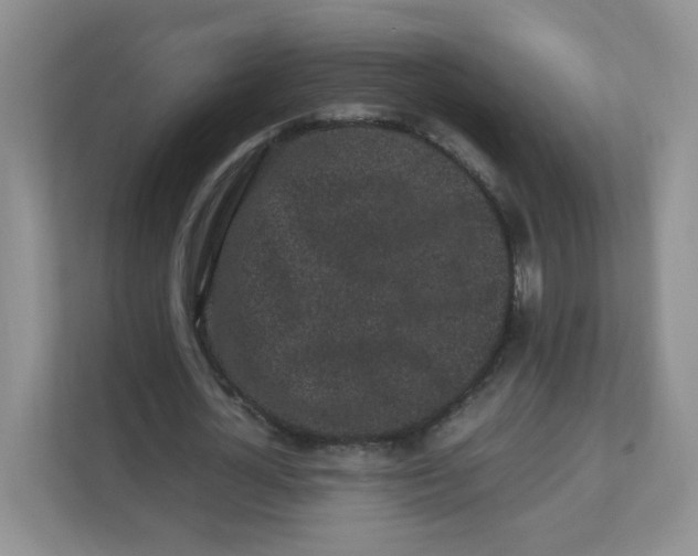 X0000111500724200908041202