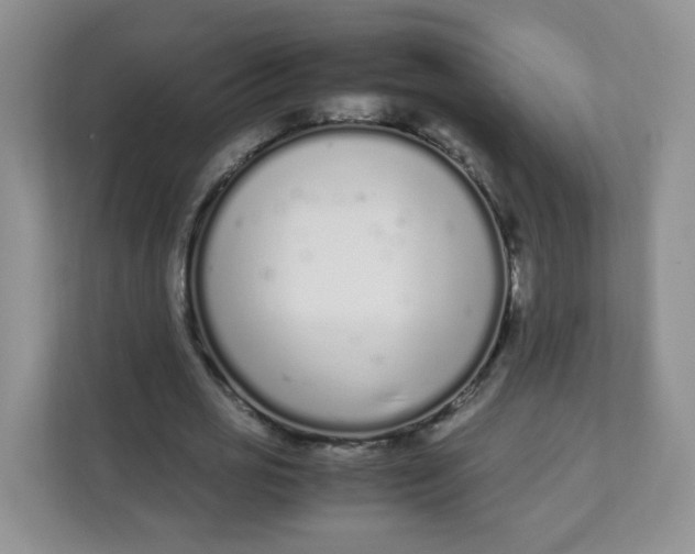 X0000111500725200908041202