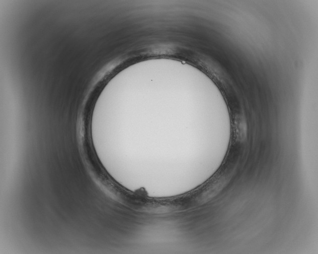 X0000111500726200908041202