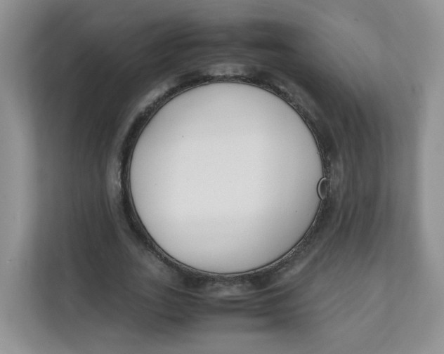 X0000111500727200908041202