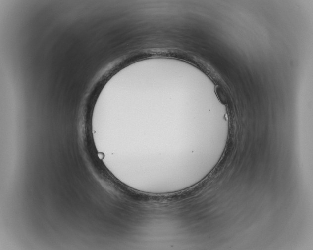 X0000111500728200908041202