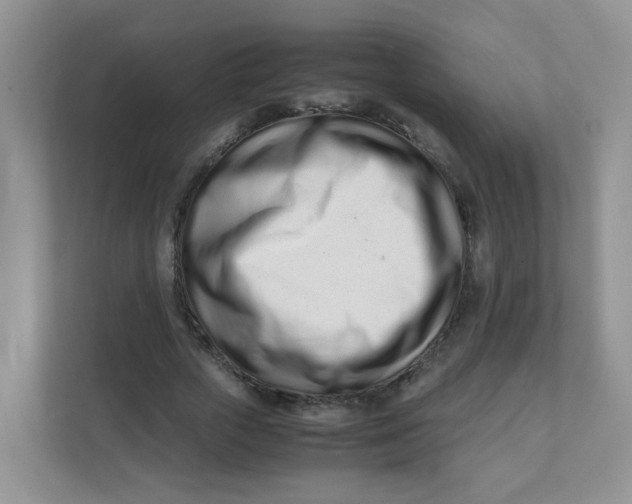 X0000111500729200908041202