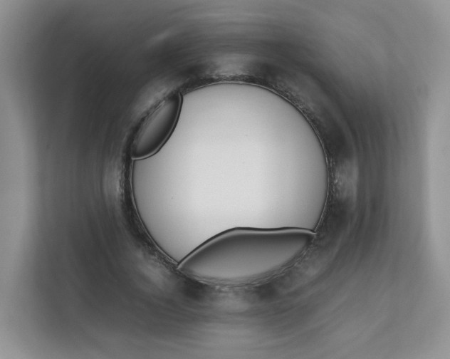 X0000111500732200908041202