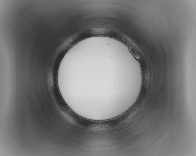 X0000111500734200908041202