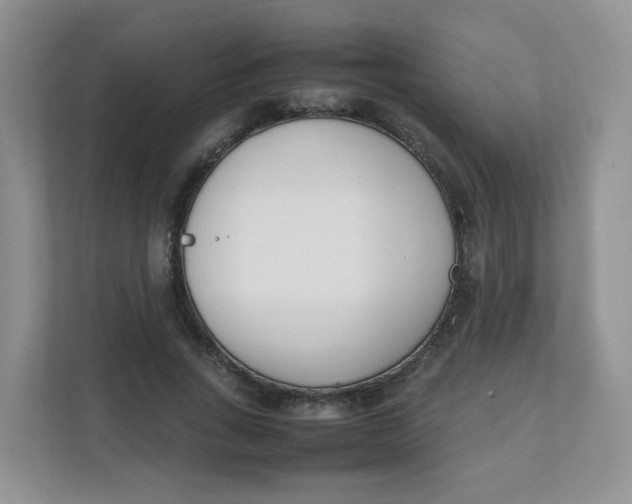 X0000111500735200908041202