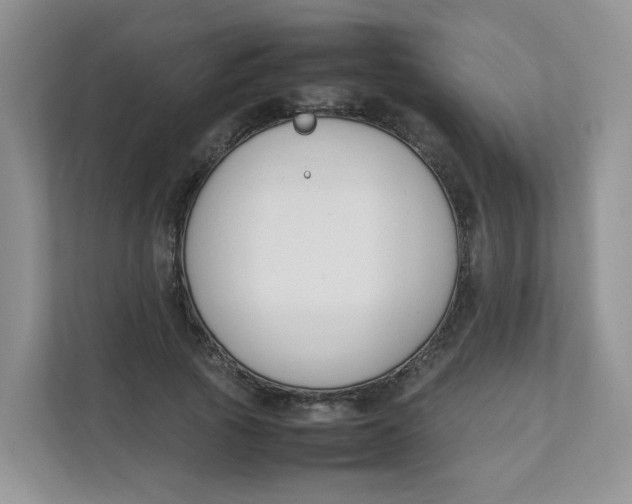 X0000111500737200908041202