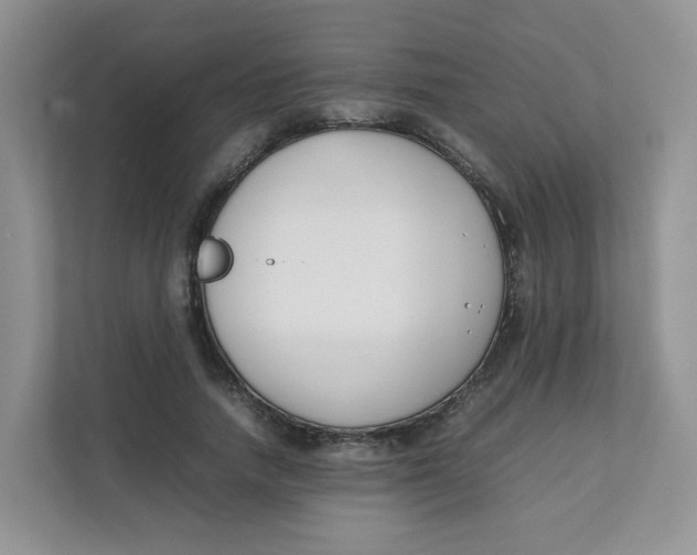 X0000111500738200908041202