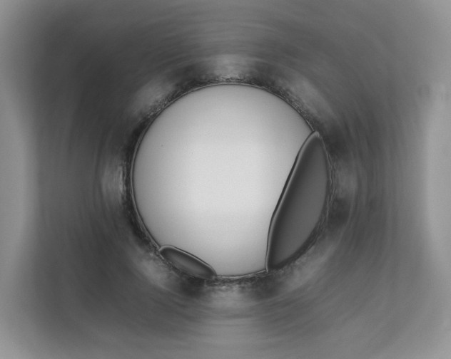 X0000111500740200908041202