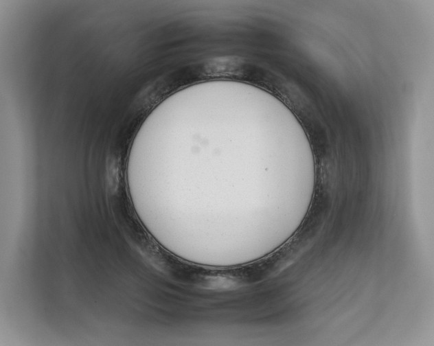 X0000111500741200908041202