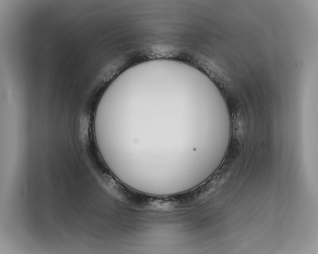 X0000111500742200908041202