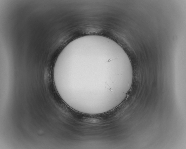 X0000111500743200908041202