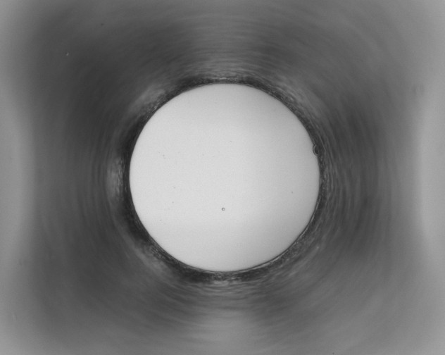 X0000111500744200908041202