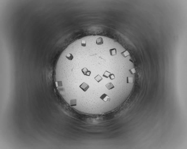 X0000111500745200908041202