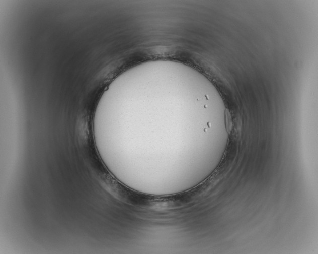 X0000111500746200908041202