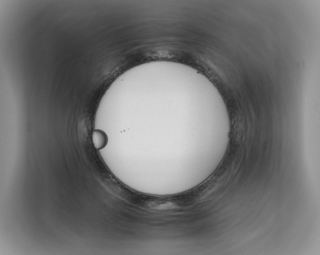 X0000111500747200908041202