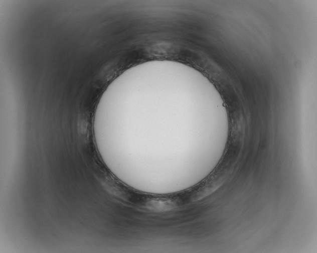 X0000111500749200908041202