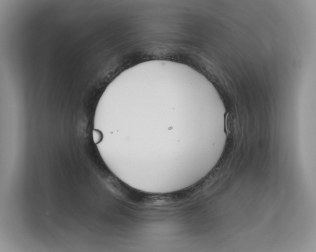 X0000111500750200908041202