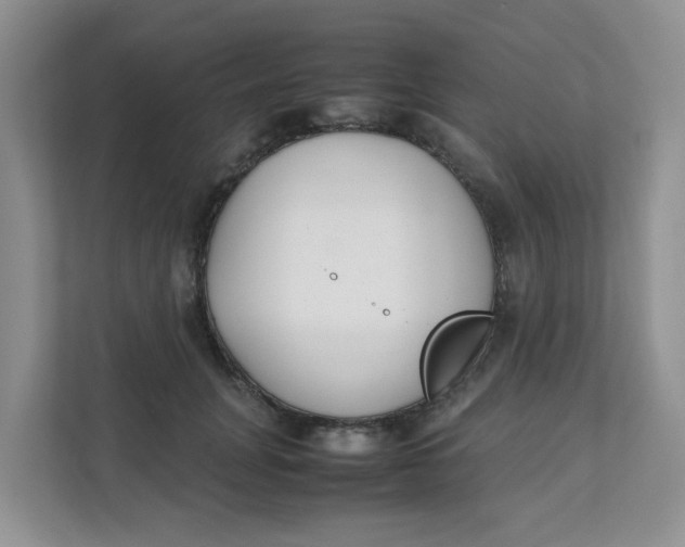 X0000111500751200908041202