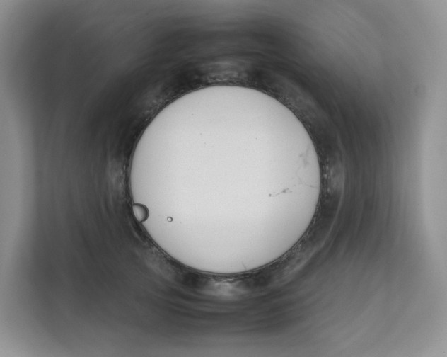 X0000111500753200908041202