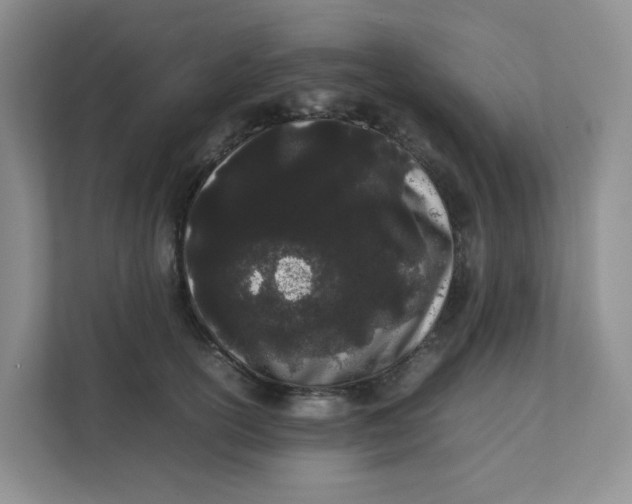 X0000111500754200908041202