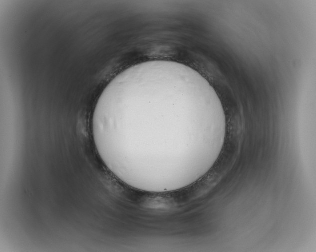 X0000111500755200908041202