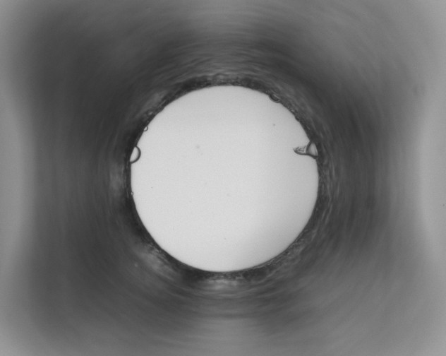 X0000111500756200908041202