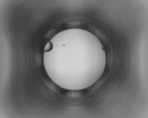 X0000111500758200908041202