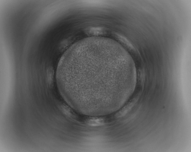 X0000111500760200908041202