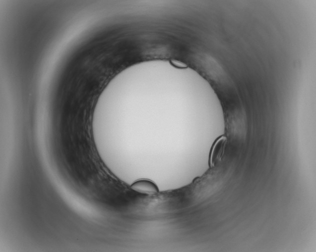 X0000111500764200908041202