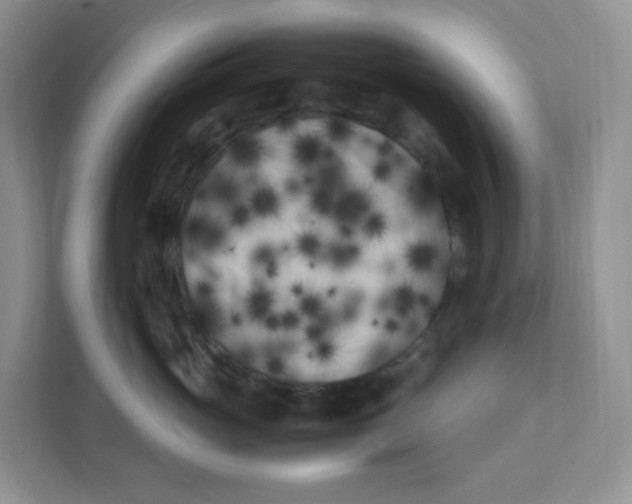 X0000111500765200908041202