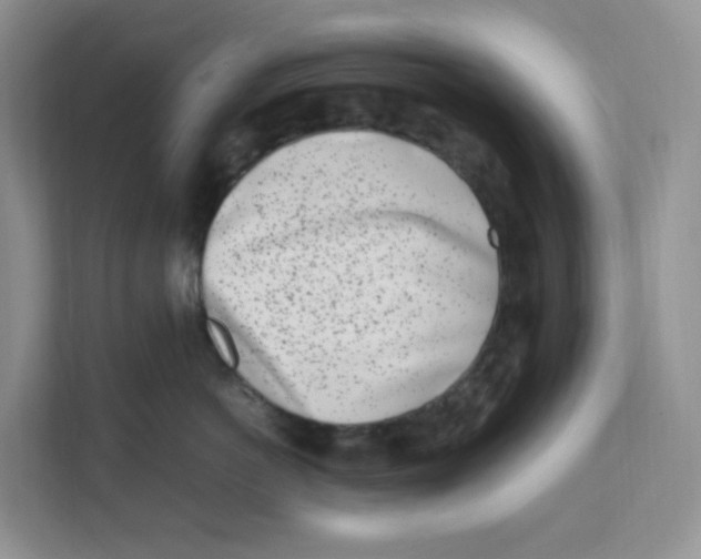 X0000111500766200908041202