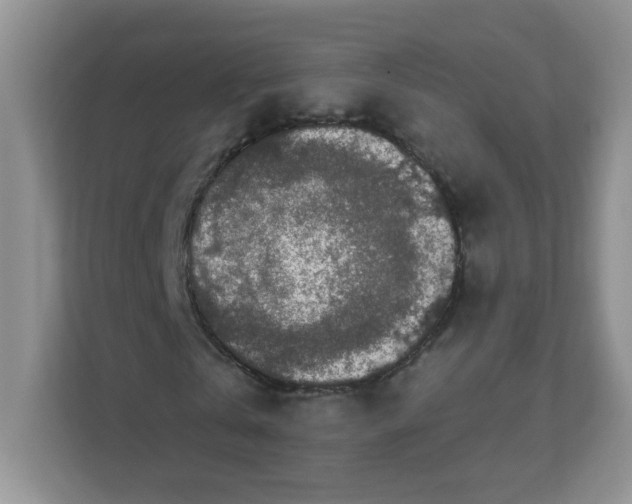 X0000111500769200908041202