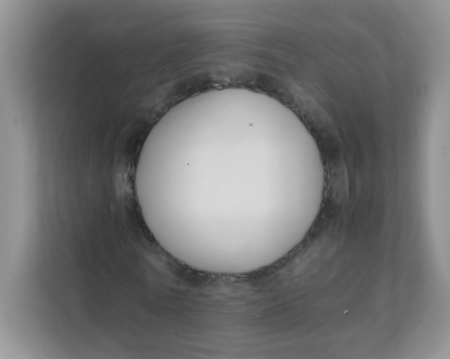 X0000111500770200908041202