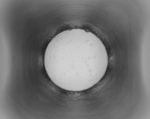 X0000111500772200908041202