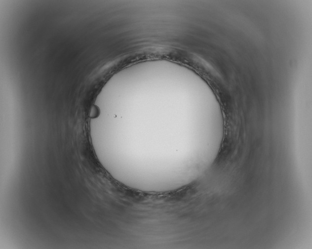 X0000111500773200908041202