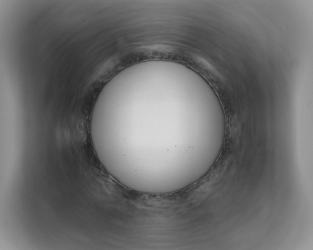 X0000111500774200908041201