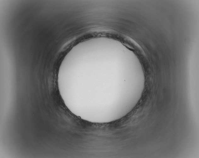 X0000111500775200908041201