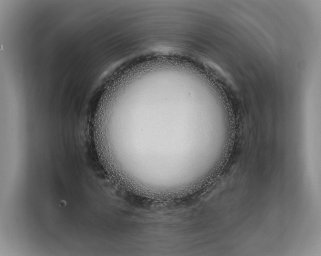 X0000111500776200908041201