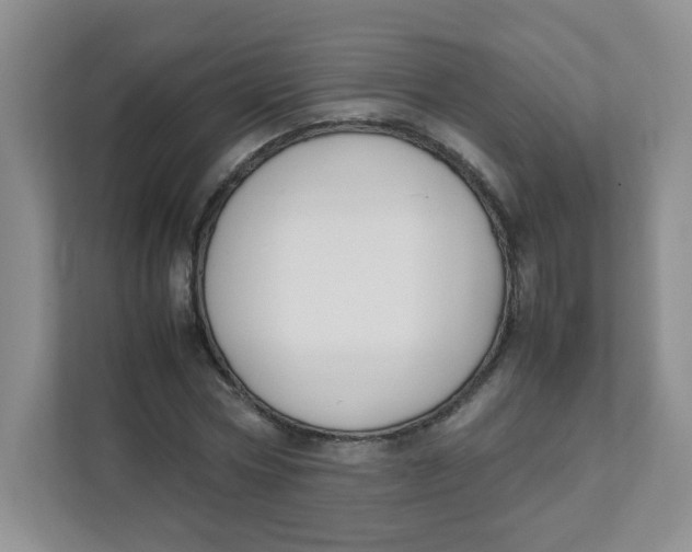 X0000111500778200908041201