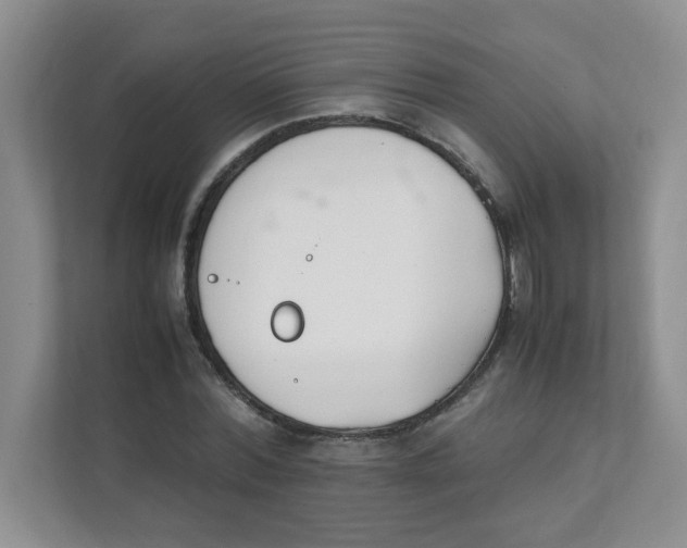 X0000111500780200908041201