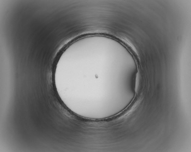 X0000111500781200908041201