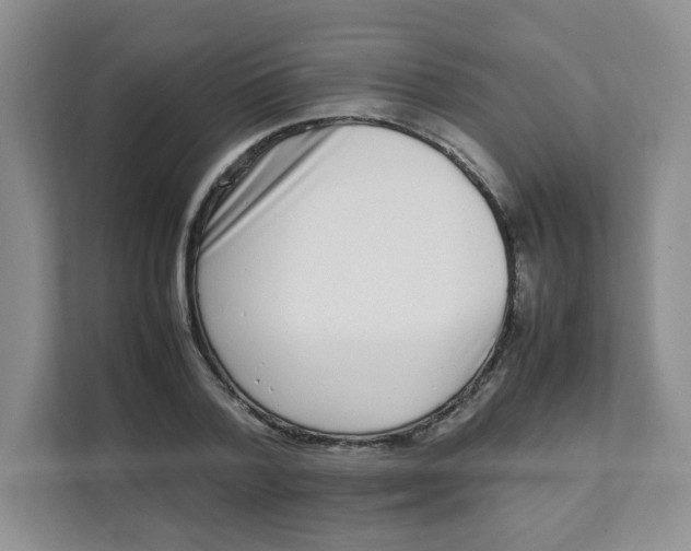 X0000111500788200908041201