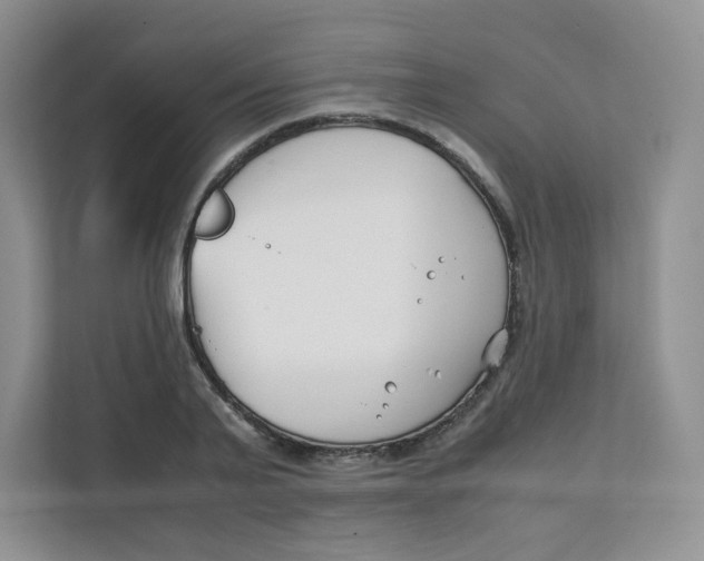 X0000111500791200908041201