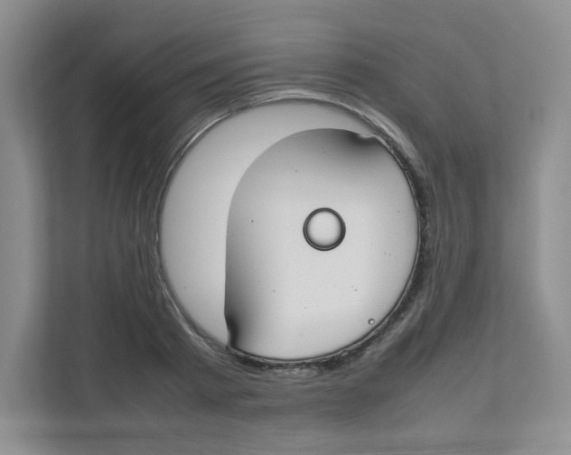 X0000111500793200908041201