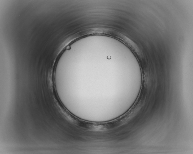 X0000111500794200908041201