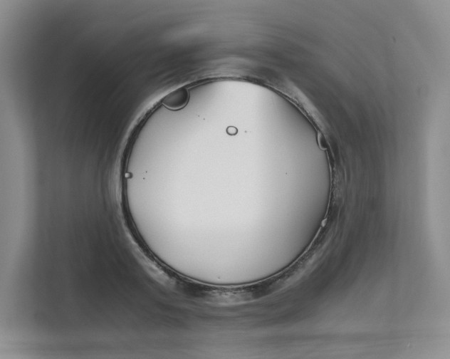 X0000111500795200908041201