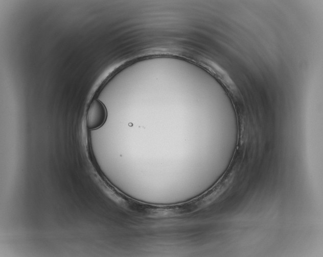 X0000111500796200908041201