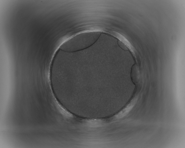 X0000111500797200908041201