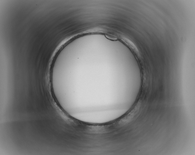 X0000111500800200908041201