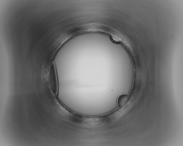 X0000111500801200908041201